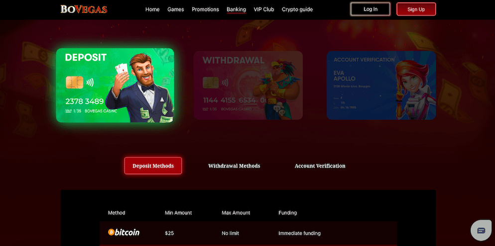 bovegas-casino-payment-methods