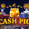 Cash Pig