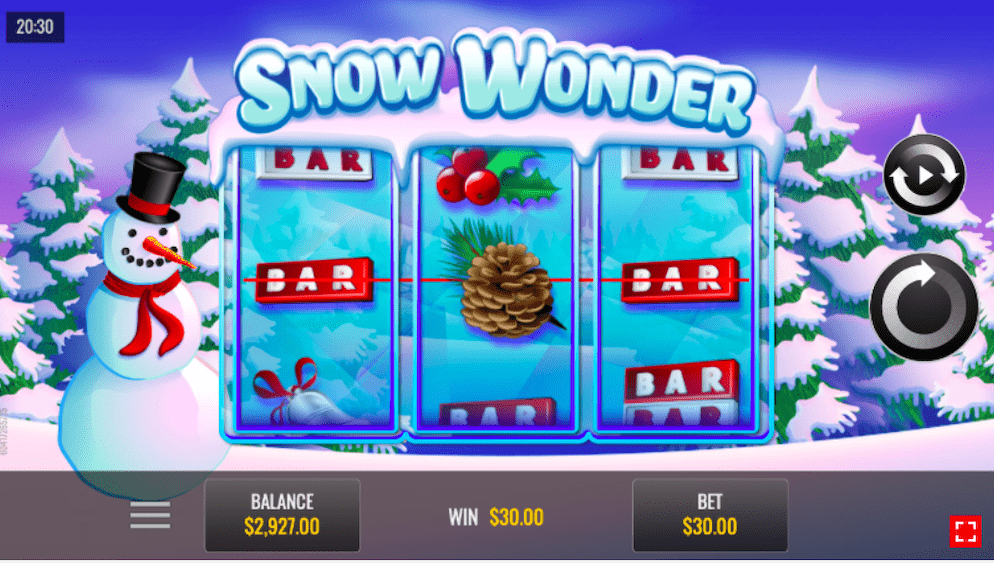 Snow-Wonder