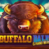 Buffalo Dale Grand Ways