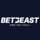 BetBeast Casino Review