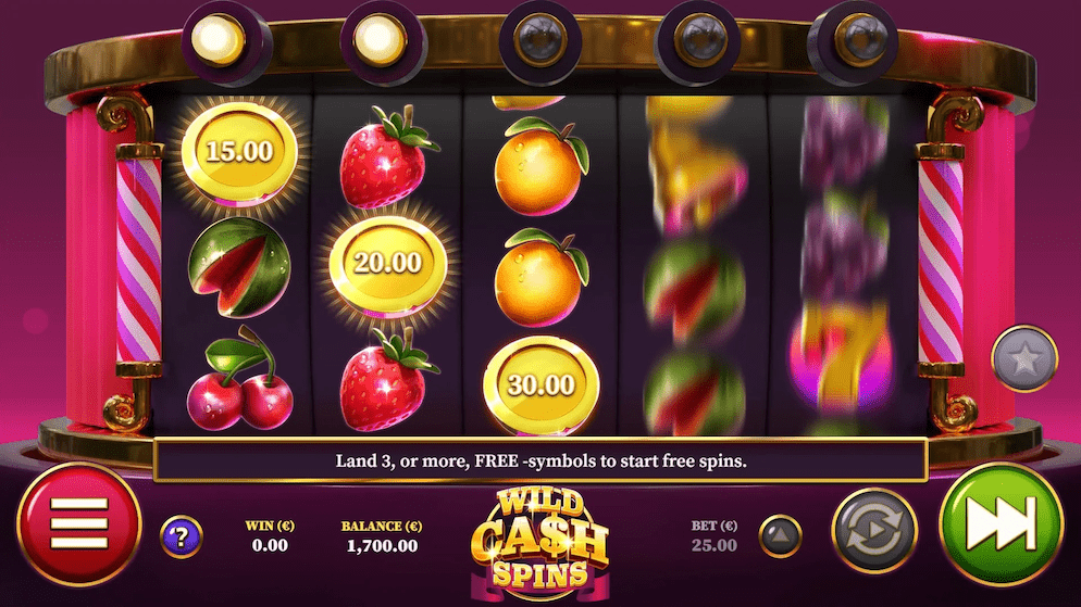 Wild-Cash-Spin-Gameplay