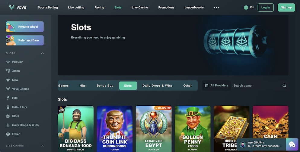 The slots section of Vave Casino featuring popular games like Big Bass Bonanza, Legacy of Egypt, and Book of Tribes.