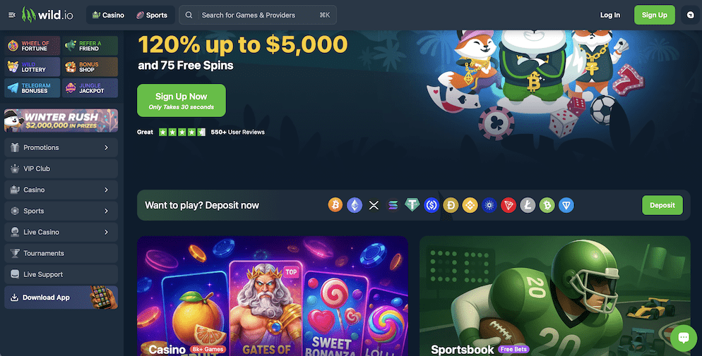 Wild io Casino homepage