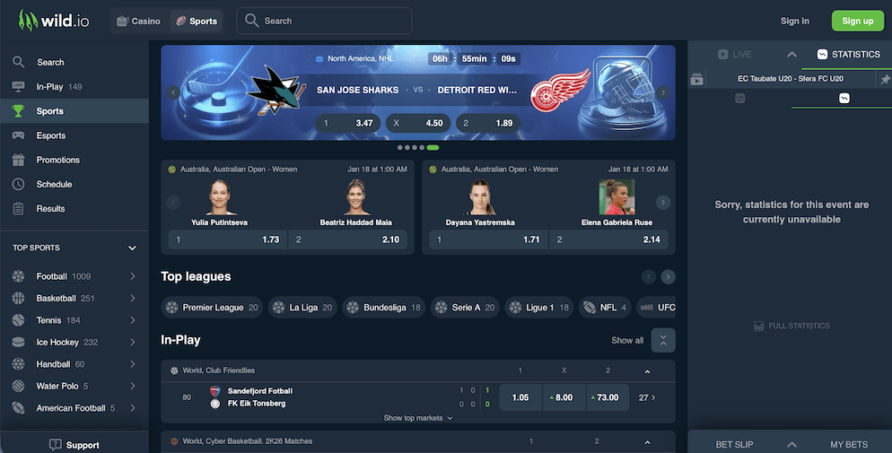 Wild io casino sportsbook